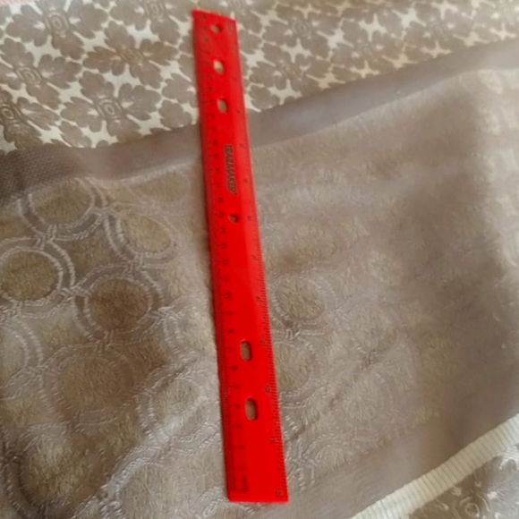 Ruler - Picture 2 of 2